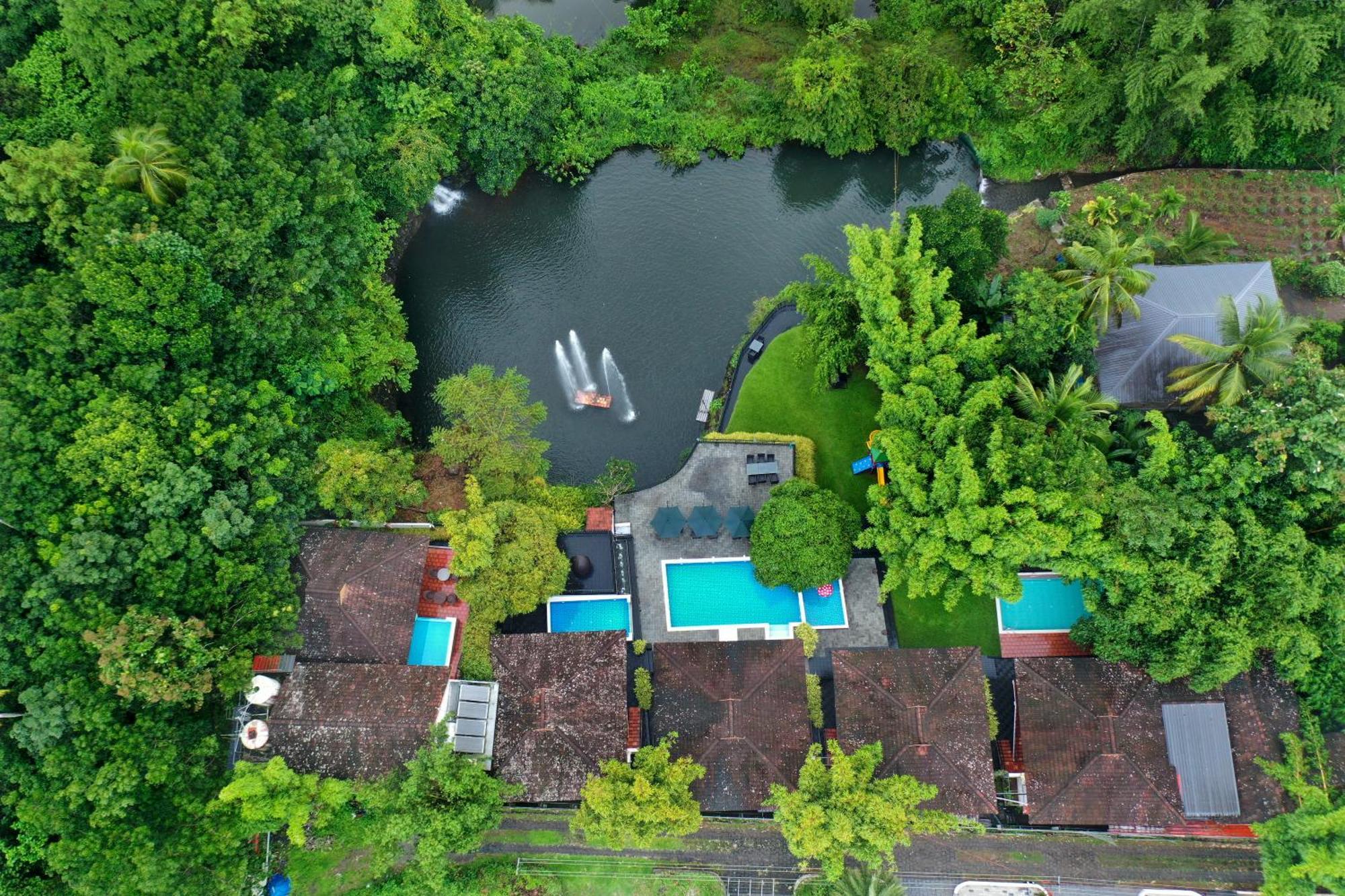 Athirapally Green Trees Athirappilly Exterior foto